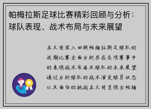 帕梅拉斯足球比赛精彩回顾与分析：球队表现、战术布局与未来展望