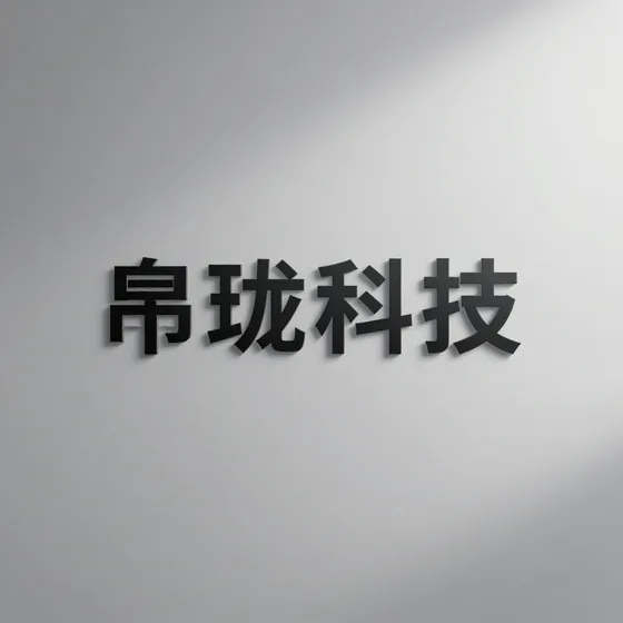 帛珑科技项目流程介绍